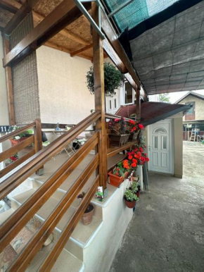 Sokobanja Podina
